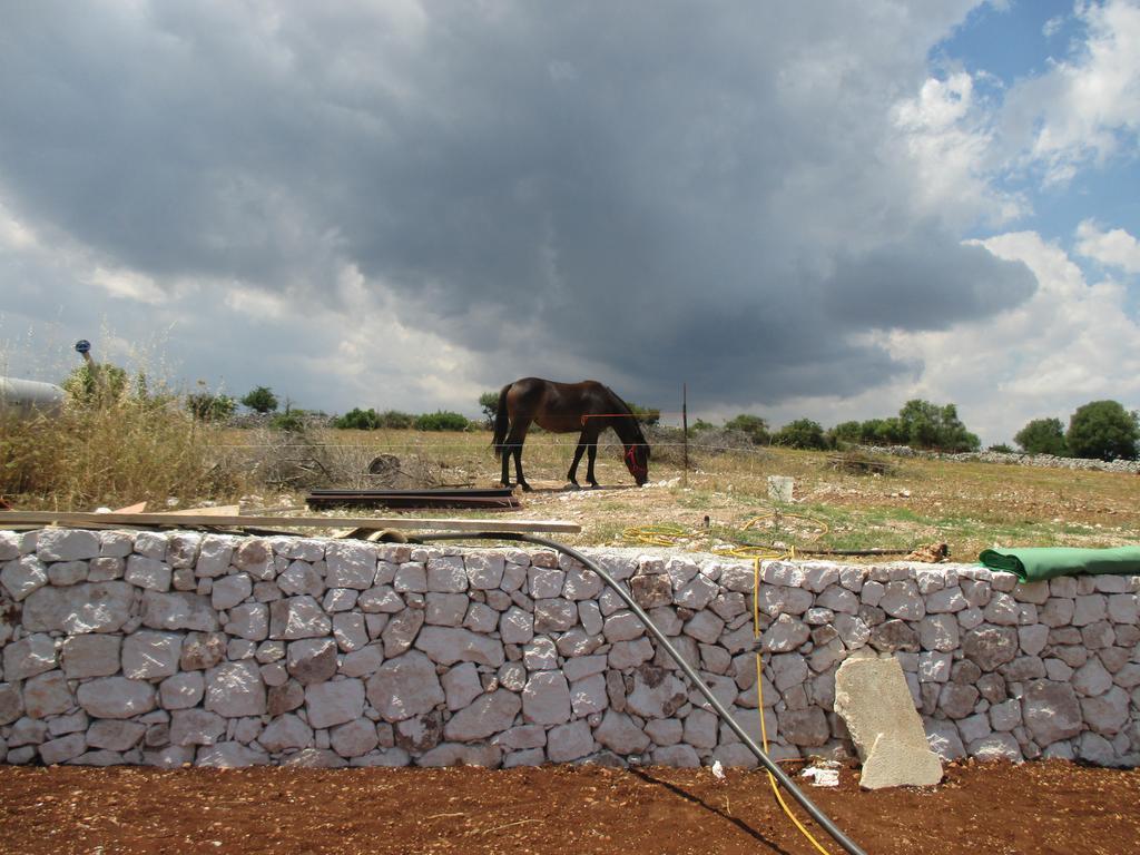 Le Mangiatoie Del Re Giordano Villa Avola Exteriör bild